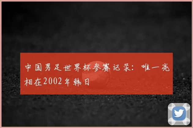 中国男足世界杯参赛记录:唯一亮相在2002年韩日