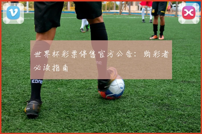 世界杯彩票停售官方公告:购彩者必读指南