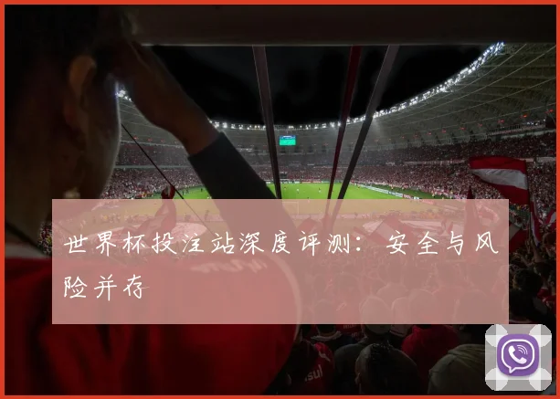 世界杯投注站深度评测：安全与风险并存