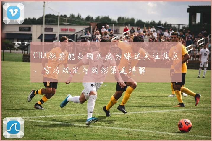 CBA彩票能否购买成为球迷关注焦点，官方规定与购彩渠道详解