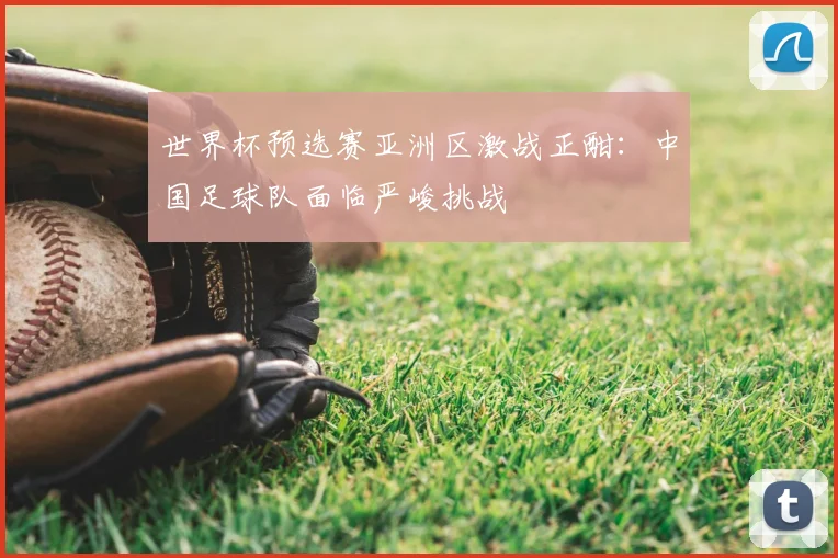 世界杯预选赛亚洲区激战正酣：中国足球队面临严峻挑战