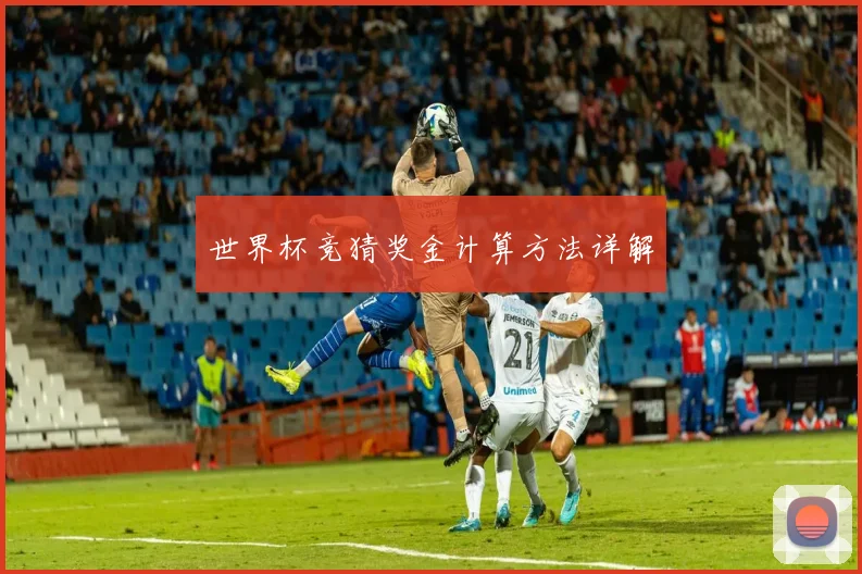 世界杯竞猜奖金计算方法详解