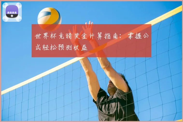 世界杯竞猜奖金计算指南：掌握公式轻松预测收益
