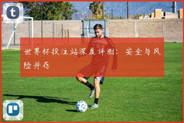 世界杯投注站深度评测：安全与风险并存