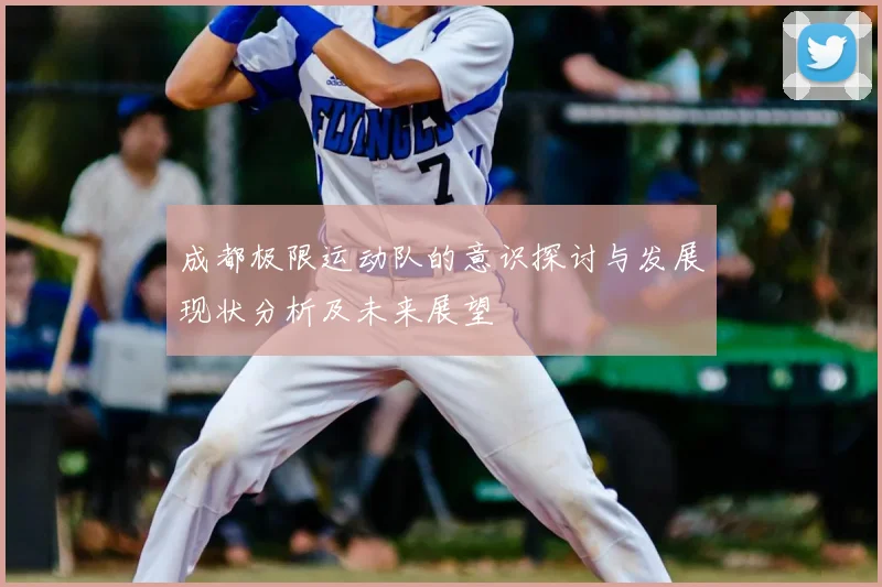 成都极限运动队的意识探讨与发展现状分析及未来展望