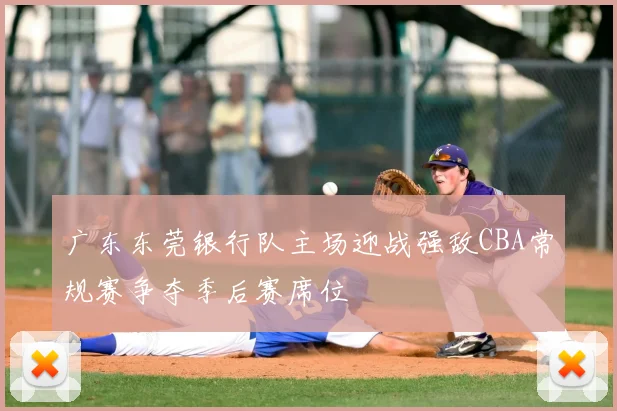 广东东莞银行队主场迎战强敌CBA常规赛争夺季后赛席位