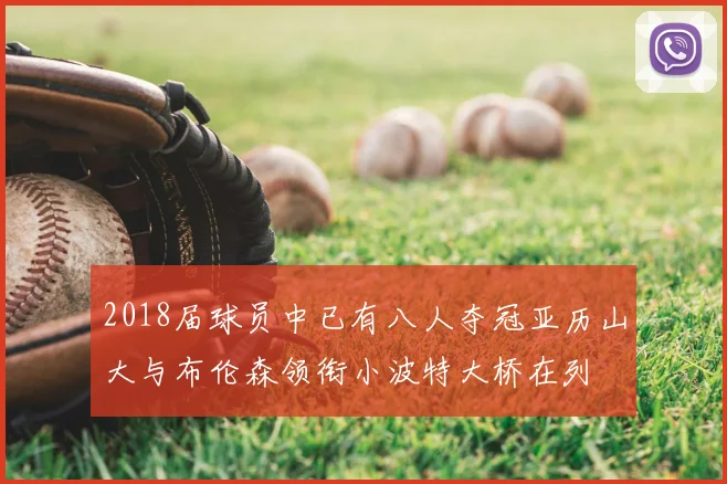 2018届球员中已有八人夺冠亚历山大与布伦森领衔小波特大桥在列
